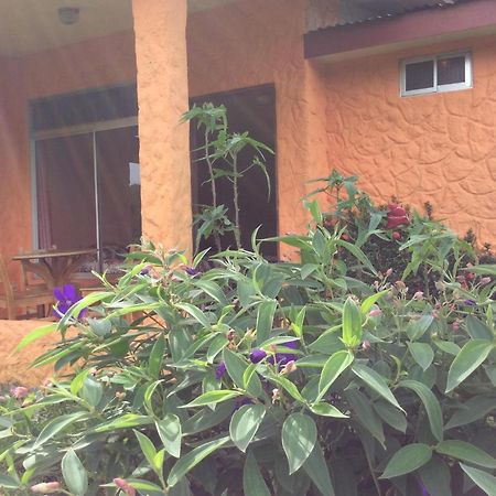 Cabinas Los Guayabos Hotel La Fortuna Екстериор снимка
