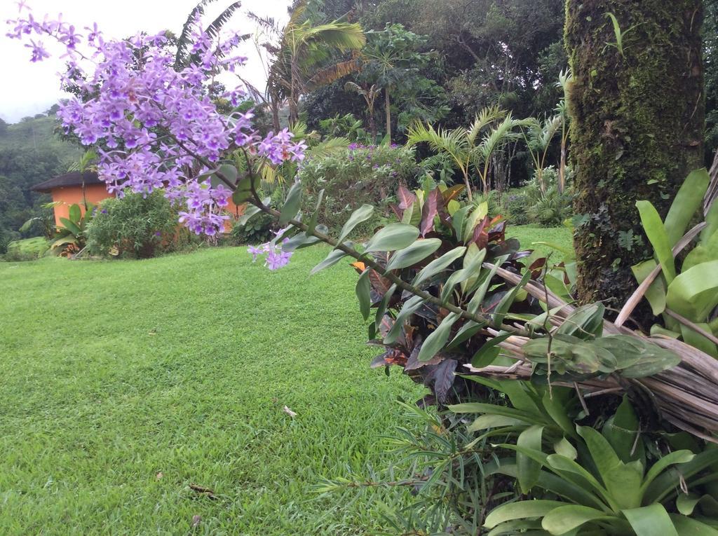 Cabinas Los Guayabos Hotel La Fortuna Екстериор снимка