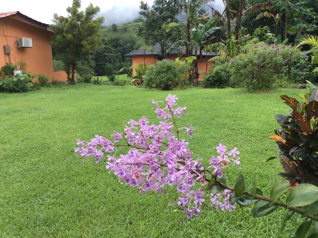 Cabinas Los Guayabos Hotel La Fortuna Екстериор снимка