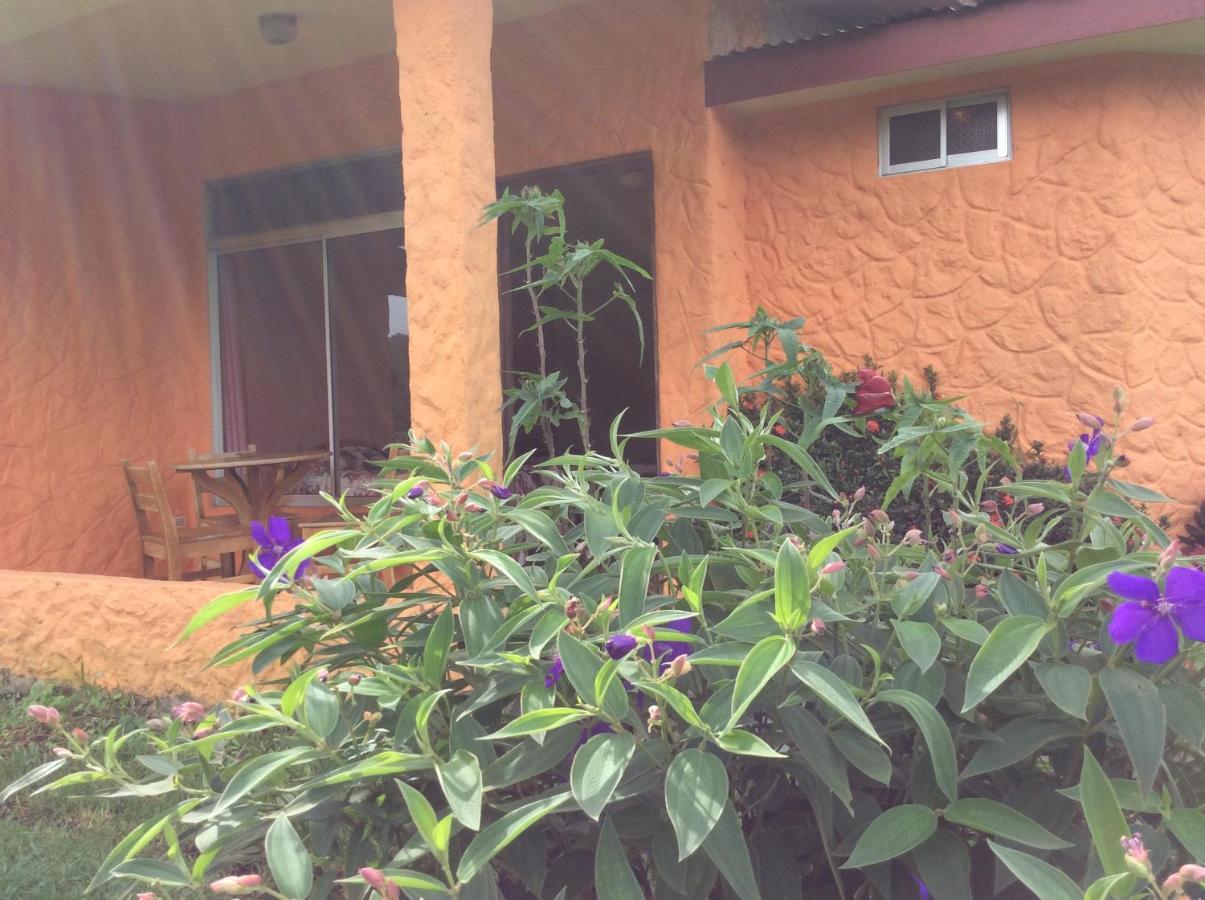 Cabinas Los Guayabos Hotel La Fortuna Екстериор снимка